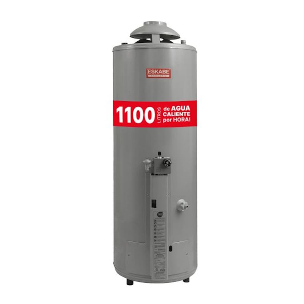 Termotanque ESKAVE ACQUAPIU A6 1100Lts/Hs Vert